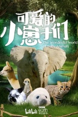 The Wonderful World of Baby Animals season poster