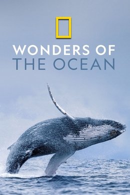 Wonders of the Ocean season poster