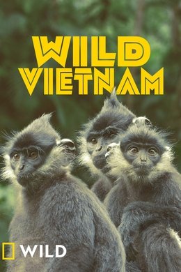 Wild Vietnam season poster