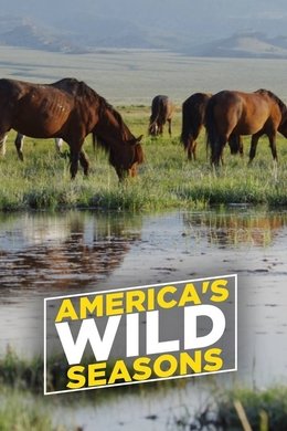 America's Wild Seasons season poster