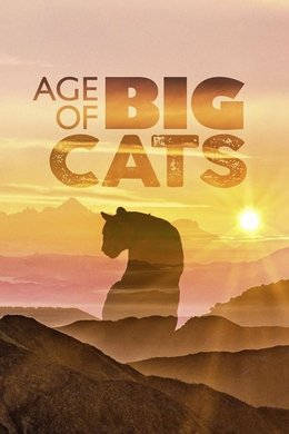 Age of Big Cats season poster
