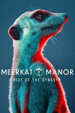 Meerkat Manor: Rise of the Dynasty season poster