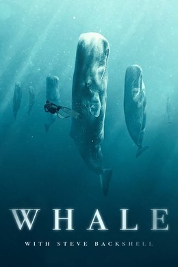 Whale with Steve Backshall season poster