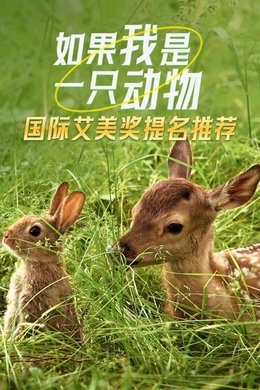 If I were an Animal season poster