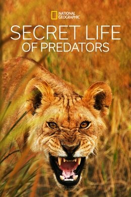 Secret Life of Predators season poster