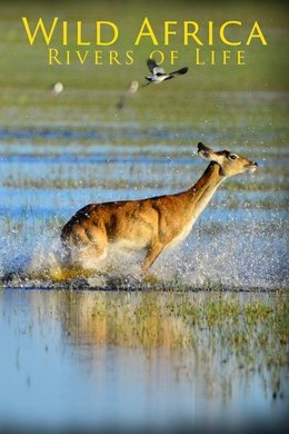 Wild Africa: Rivers of Life season poster