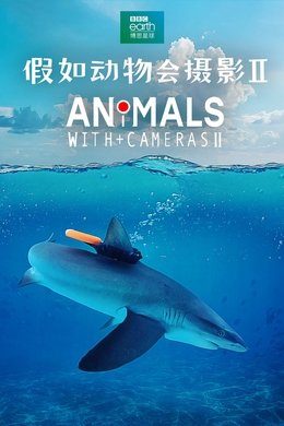 Animals with Cameras season poster
