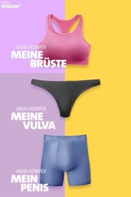Mein Körper season poster