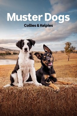 Muster Dogs season poster