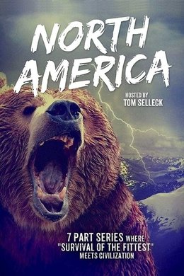 North America season poster