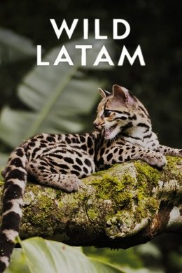 Wild Latam season poster