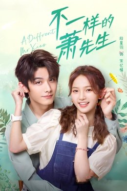 A Different Mr. Xiao season poster