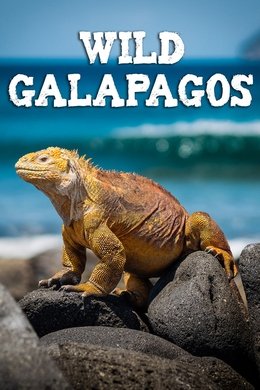 Wild Galápagos season poster