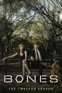 Bones season poster