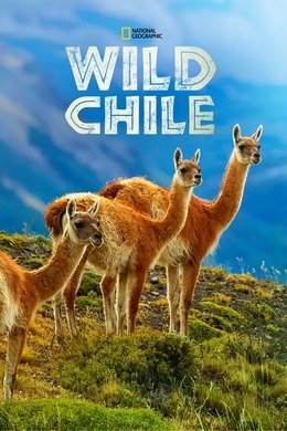 Wild Chile season poster