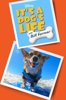 It's a Dog's Life with Bill Farmer season poster