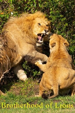 Brotherhood of Lions season poster