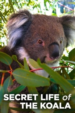 Secret Life of the Koala season poster