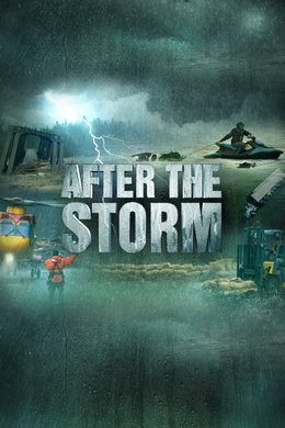 After the Storm season poster