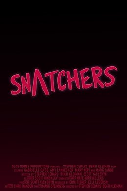 Snatchers season poster