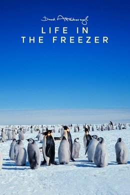 Life in the Freezer season poster