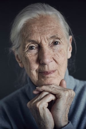 Photo de Jane Goodall