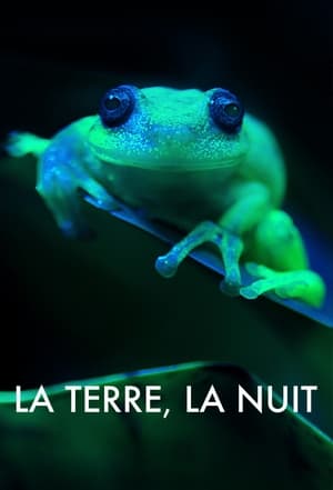 Image La Terre, La Nuit