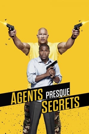 Poster Agents presque secrets 2016