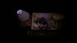 Mysterious Skin (2004)