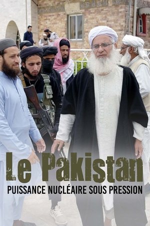 Pakistan, a nuclear power under pressure (2025)
