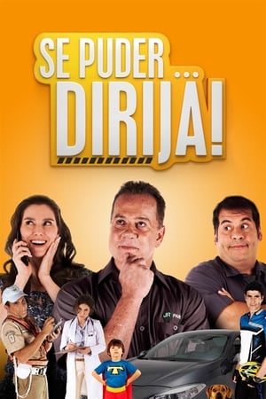 Poster Se Puder... Dirija! 2013