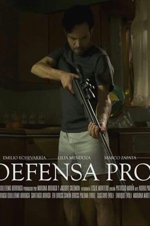 Poster In Self Defense 2015