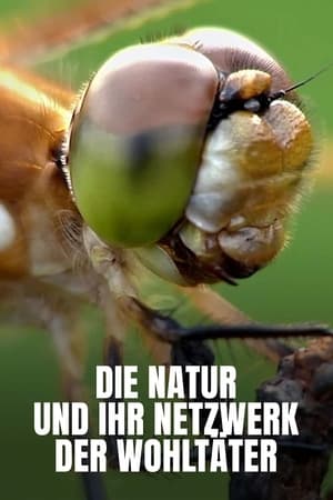 Image Die Natur und ihr Netzwerk der Wohltäter