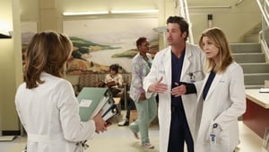 Grey’s Anatomy Season 9 Episode 8