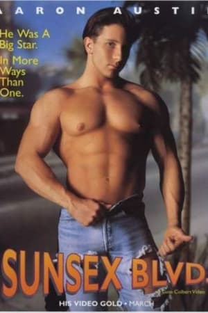 Poster Sunsex Blvd 1994