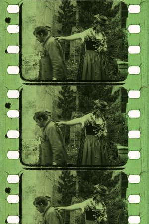 Der Sonnwendhof (1918)
