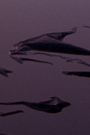 Nonton film Plastic Aortas (2024) terbaru sub indo