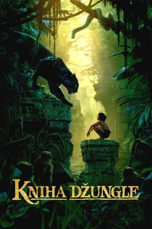 Image Kniha džungle