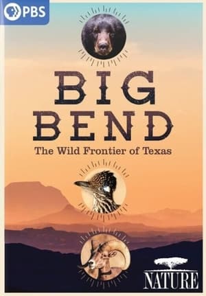 Image Big Bend: The Wild Frontier of Texas
