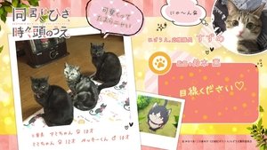 同居人时而在腿上,时而跑到脑袋上。 Season 1 Episode 12