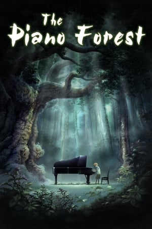 Image Piano da Floresta