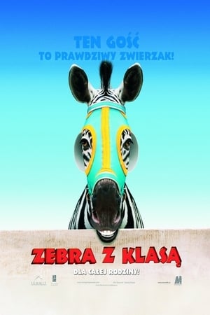 Zebra z klasą 2005