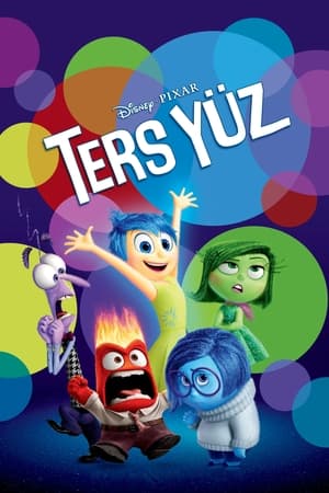 Ters Yüz 2015