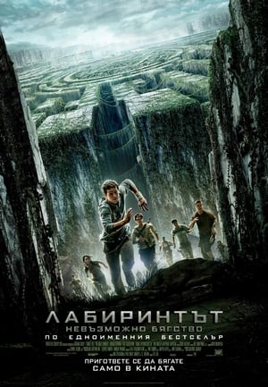 Poster Лабиринтът: Невъзможно бягство 2014