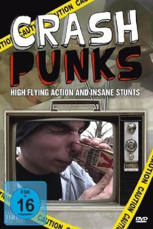 Poster Crash Punks 2007