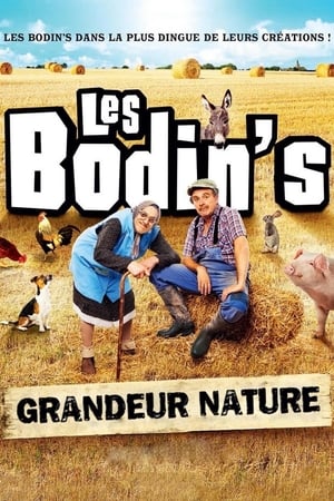 Poster Les Bodin's : Grandeur Nature (@Zenith de Limoges) 2016