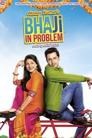 Bhaji in Problem 2013