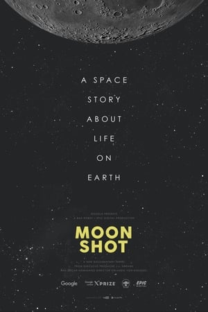 Image Moon Shot