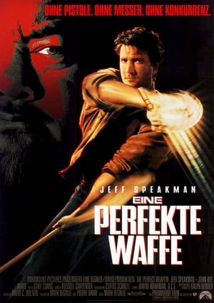 Eine perfekte Waffe 1991