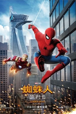 Poster 蜘蛛侠：英雄归来 2017